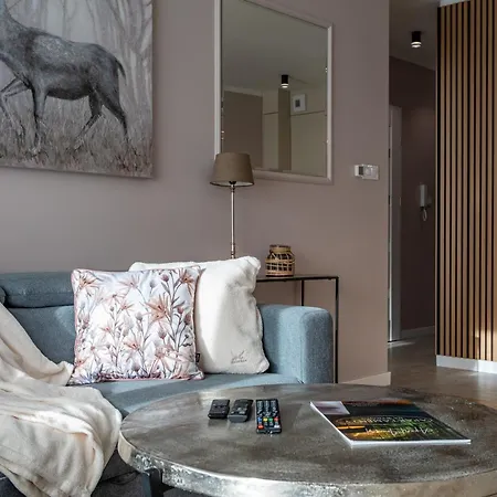 Apartmán Centrum Park 2 8 Sklářská Poruba